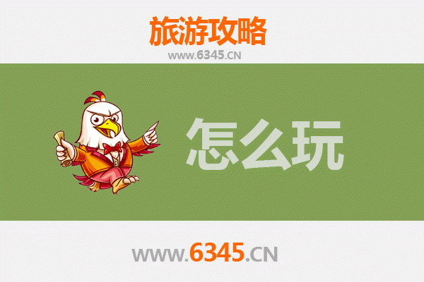 节假日塔城裕民深度游：巴尔鲁克山花与边境风情的完美之旅